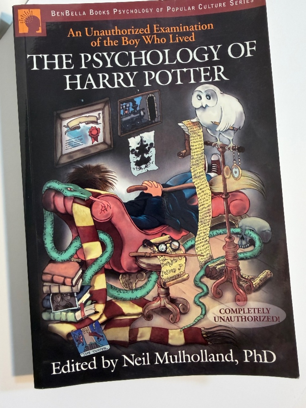💙 5/$25 📕 The Psychology of Harry Potter: An unauthorized examination